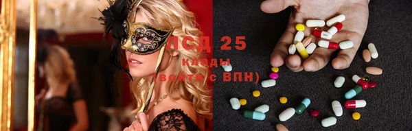 прущий лед Лагань