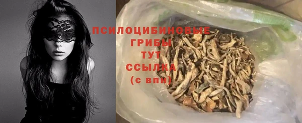 СК Корсаков