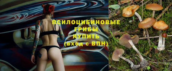 прущий лед Лагань