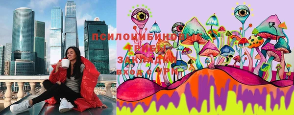 ГАЛЛЮЦИНОГЕННЫЕ ГРИБЫ Краснослободск