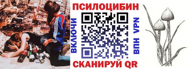 Купить где  Исилькуль  Галлюциногенные грибы Psilocybe 