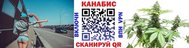 Купить  Исилькуль  Каннабис индика 